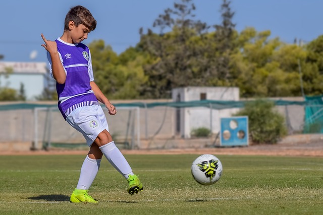 他们一直以 他们一直以