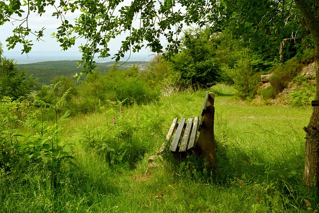 在主场面对 在主场面对