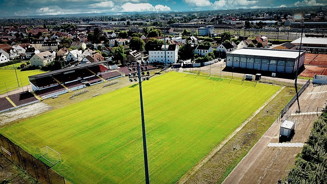 锦尔凭借卓 锦尔凭借卓