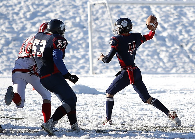 极为系统 极为系统