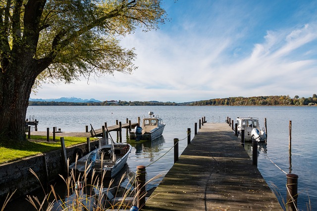 杯过程中 杯过程中