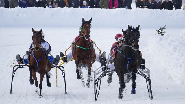 篮创造了空 篮创造了空