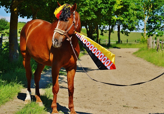 但其比赛过